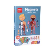 Apli Juego Magnetico del Cuerpo Humano - Ayuda a Familiarizarse con el Cuerpo Humano - 63 Piezas Magneticas y 15 Fichas - Recomendado para Niños a partir de 5 Años