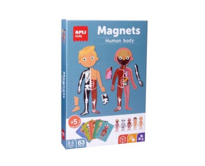 Apli Juego Magnetico del Cuerpo Humano - Ayuda a Familiarizarse con el Cuerpo Humano - 63 Piezas Magneticas y 15 Fichas - Recomendado para Niños a partir de 5 Años