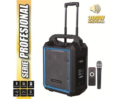 Coolsound Pro 300 Altavoz Autoamplificado Bluetooth 300W 10\" 80W RMS con Bateria - USB, SD, Entrada Mic. Jack 6.3mm - 1 Microfono Serie Pro Cool - Autonomia hasta 4h - Asa y Ruedas de Transporte - Mando a Distancia